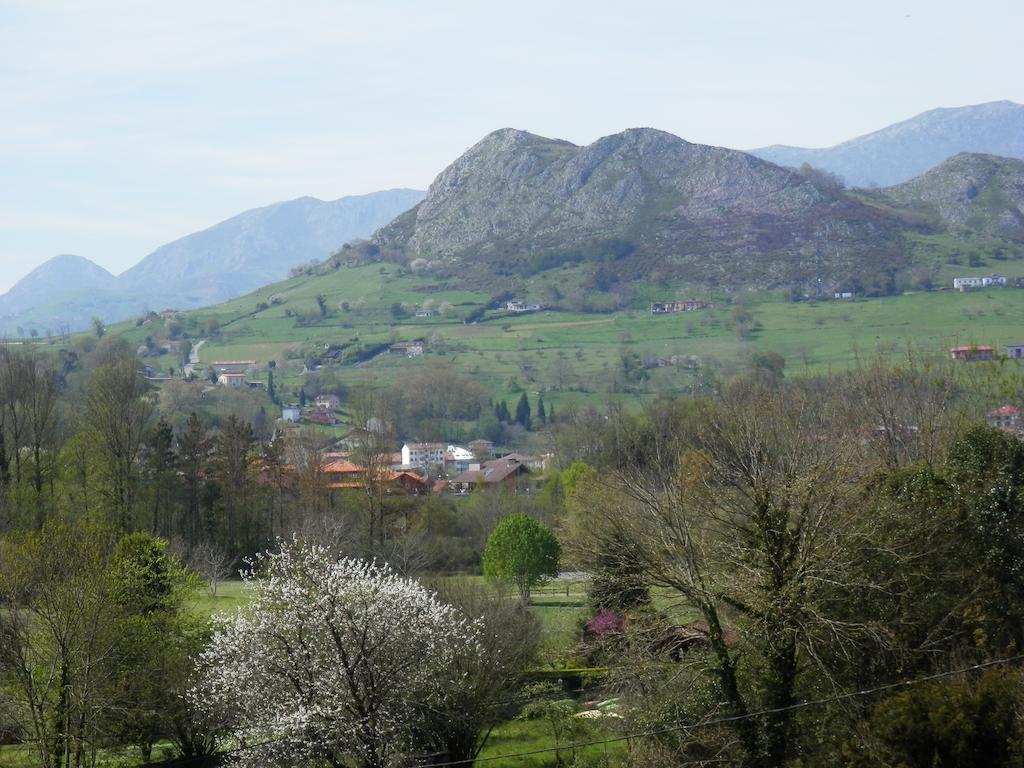 Vega Del Sella